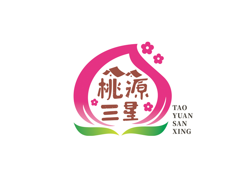趙鵬的桃源三星logo設(shè)計(jì)